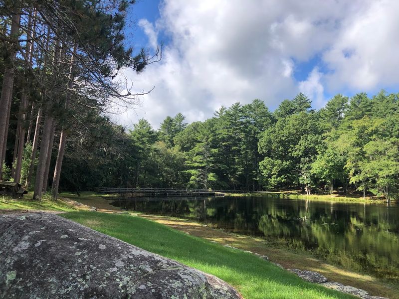 Swimming And Splashing At The Beach Area