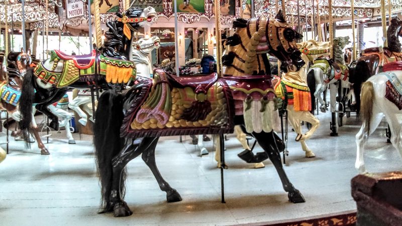 Hand-Carved Horses That Each Have A Personality