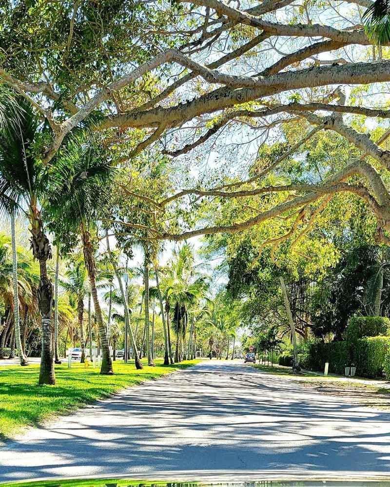 Cycling Through A Town Built For It