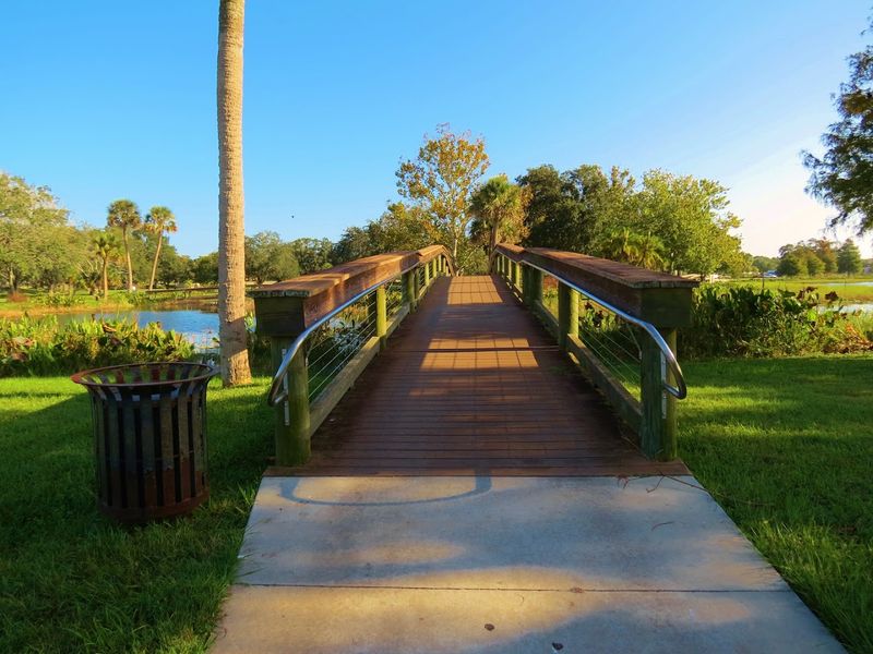 A Daily Escape Worth Savoring