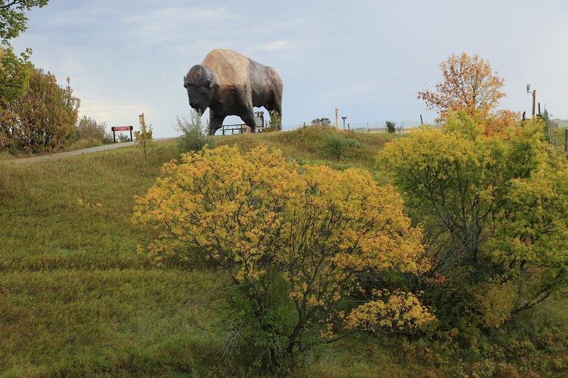 The Quiet Rhythm Of Prairie Seasons