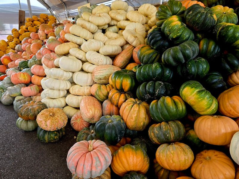 The Bulk Foods Section Is A Shopper's Dream