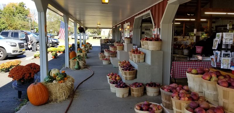 Nearly 300 Acres Of Pure New Jersey Countryside