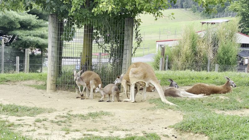 Why This Park Stands Out In Virginia