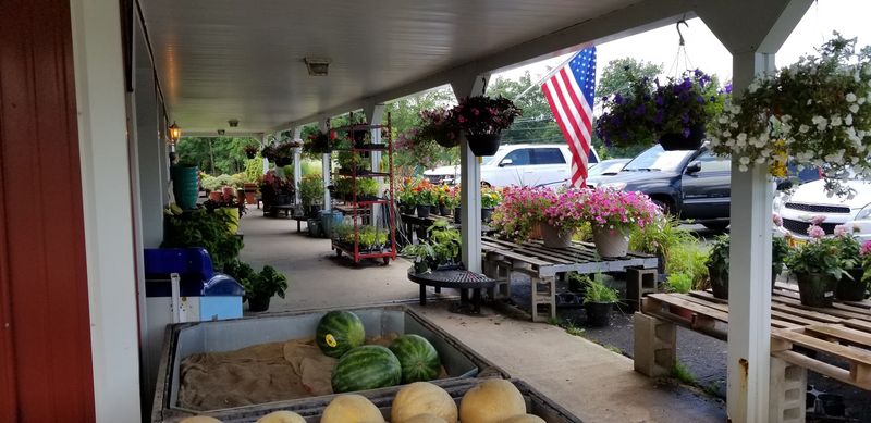 Why This Farm Keeps Drawing People Back Season After Season