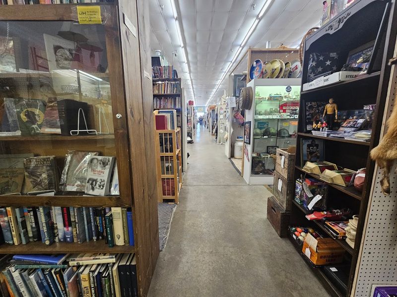 The Sheer Size Will Surprise You