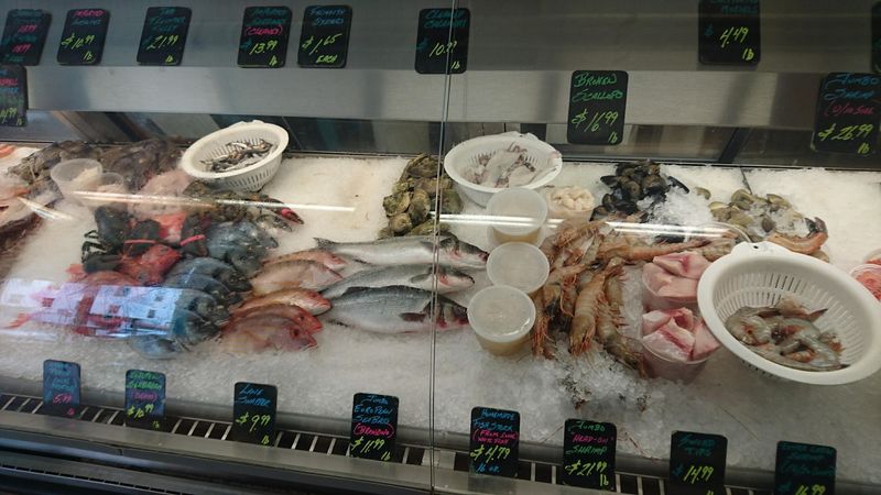 Fresh Catch Every Single Day