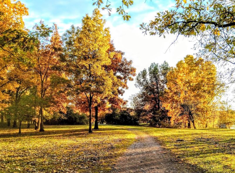 Practical Tips That Make Your Visit Better