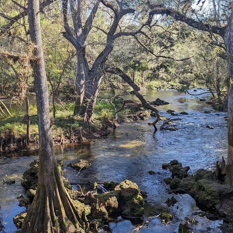 The Wildlife You Might Spot Along The Way