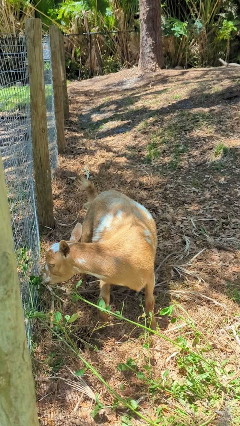 The Animals You Might Spot Along The Way