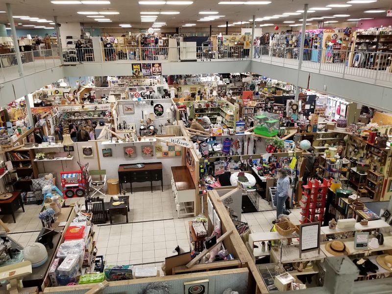 Hundreds Of Vendors, One Wild Roof