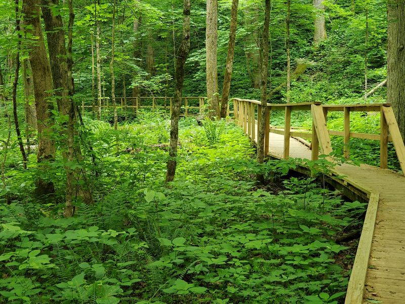 The Best Time To Visit And What To Expect