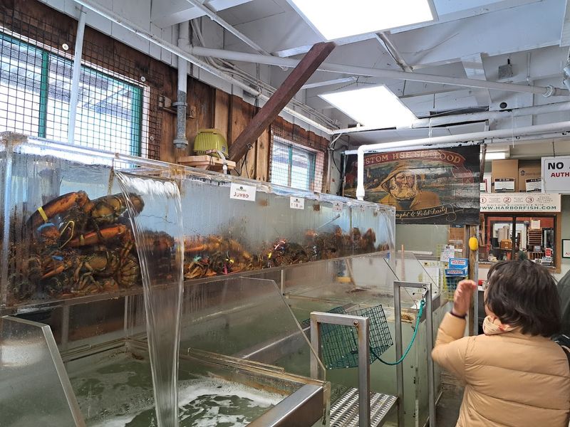 Lobster Delivered Fresh From The Dock