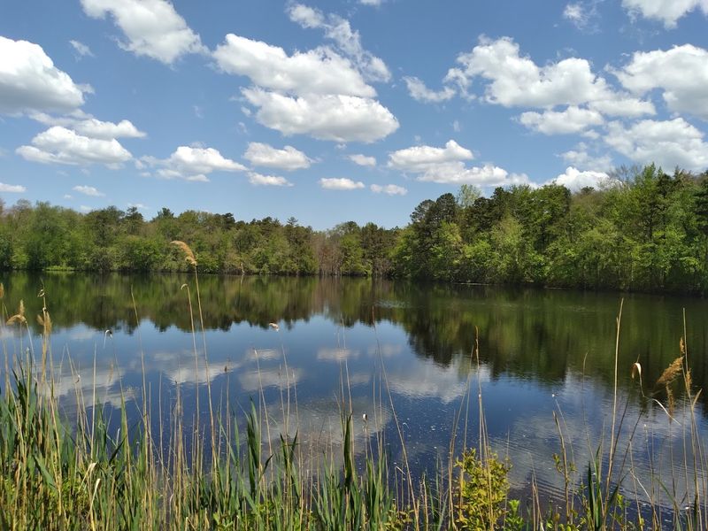 Practical Tips For Visiting And Moving