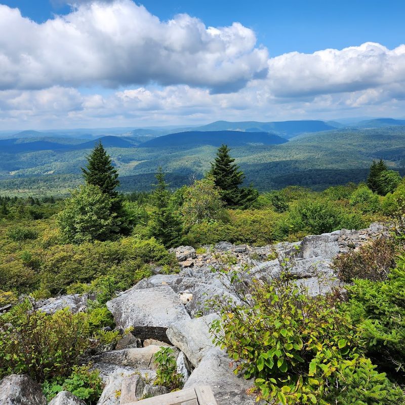 Mountain Views That Do Not Quit