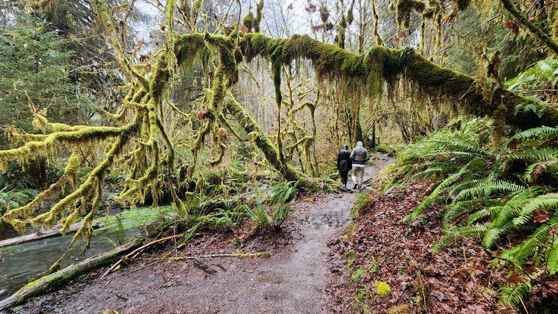 The Sound Of Silence (Almost)