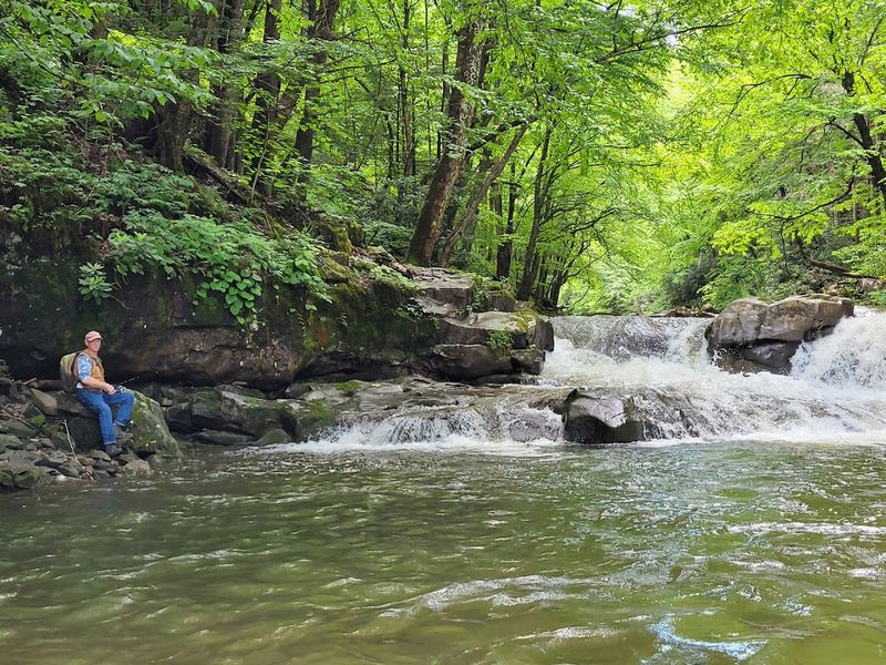 Fishing The Creek Like You Mean It