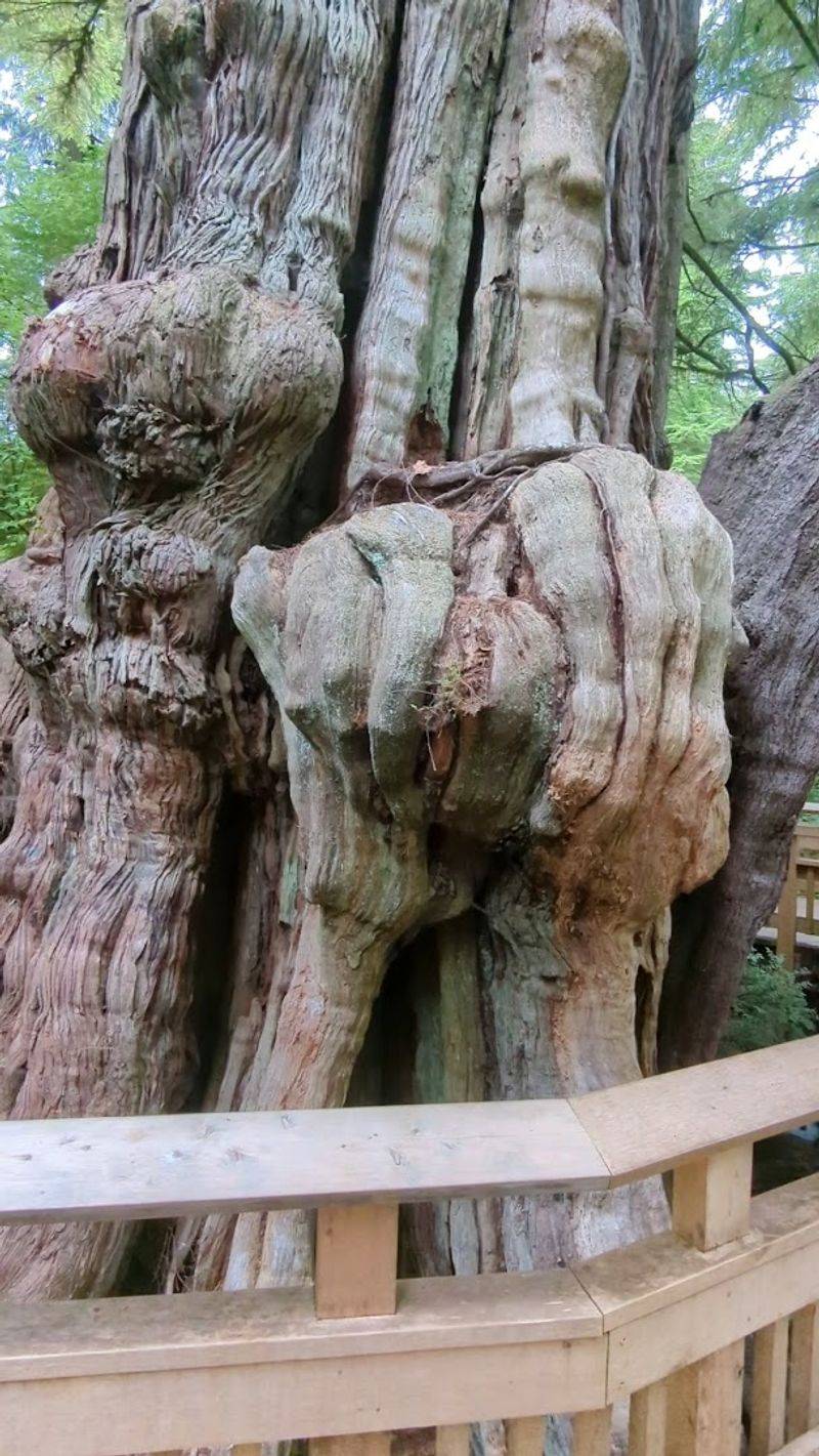 The Ancient Star Of The Show