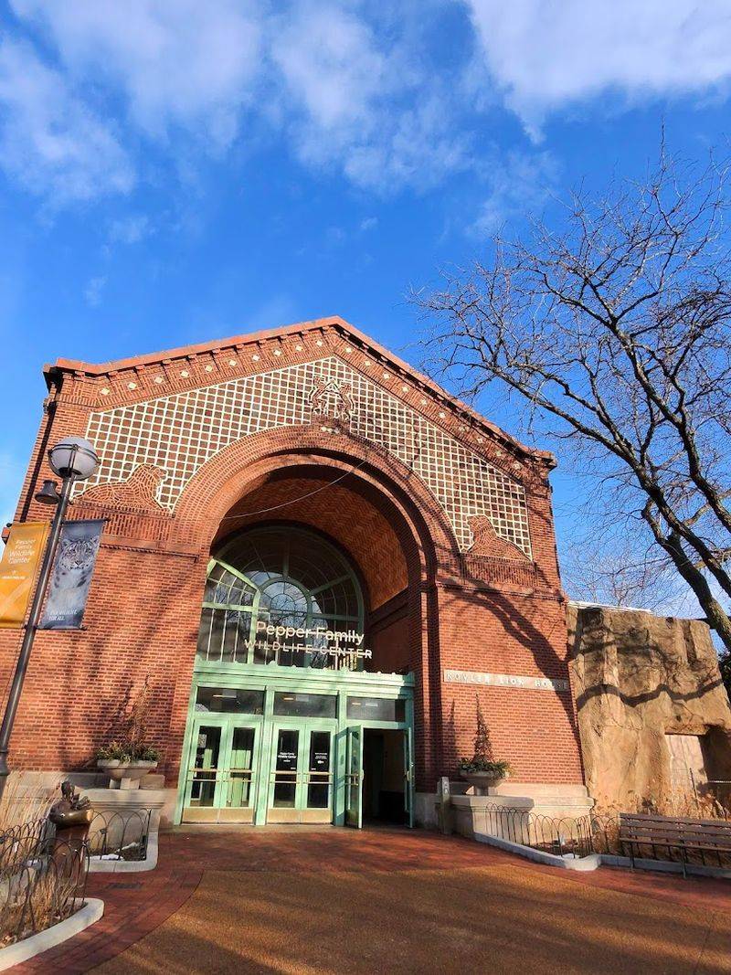 Free Admission That Feels Too Good To Be True