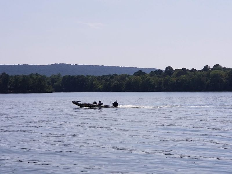 Lake Hamilton And The Outdoor Life
