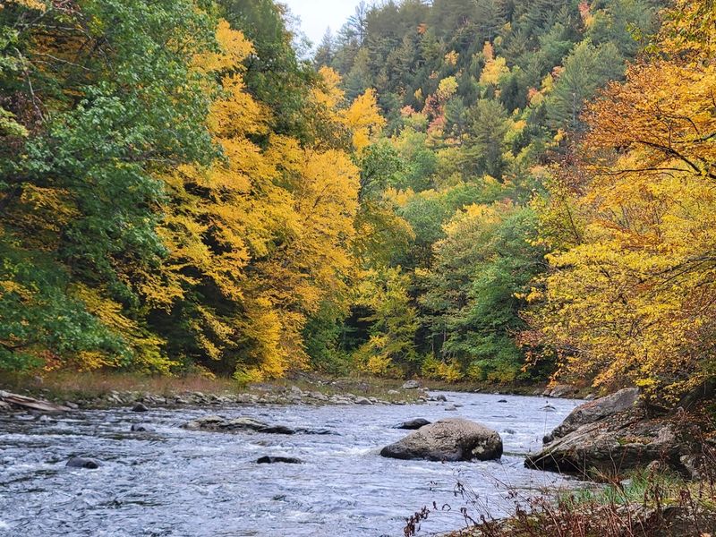 When The Park Reaches Peak Drama