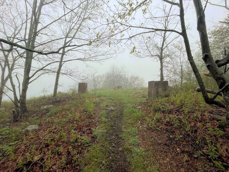 The Steep Climb That Tests Your Nerves