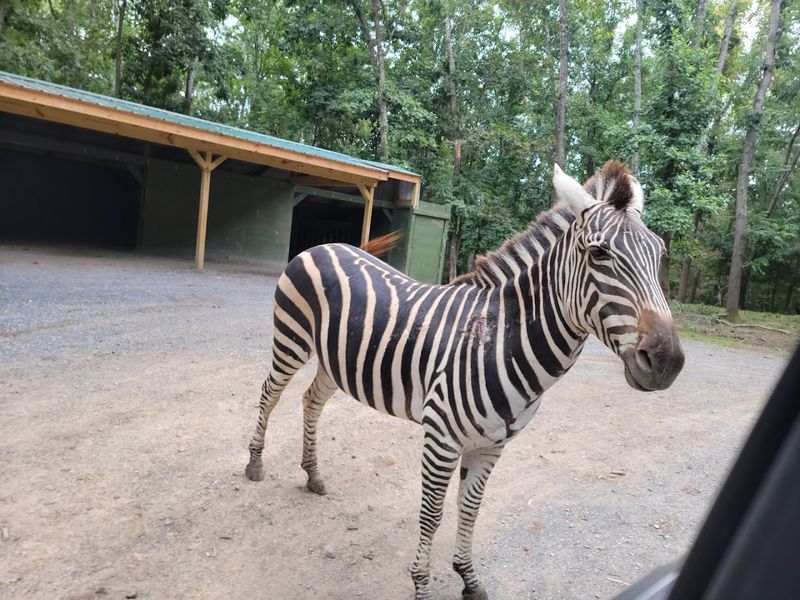 A Great Fit For All Ages