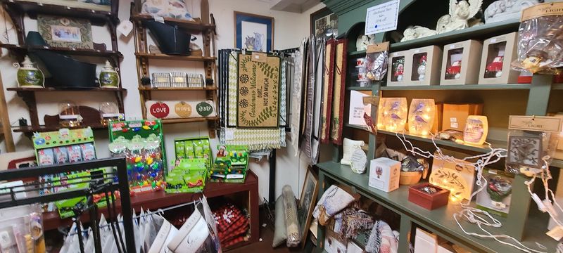 Home Goods And Kitchenware With Everyday Appeal