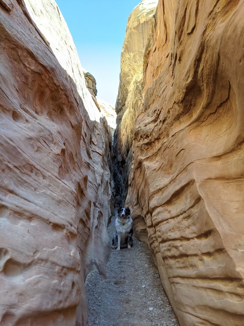 Little Wild Horse Canyon And Bell Canyon Trail, Green River