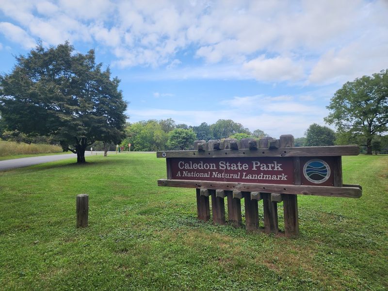 A Park With A Story Worth Knowing