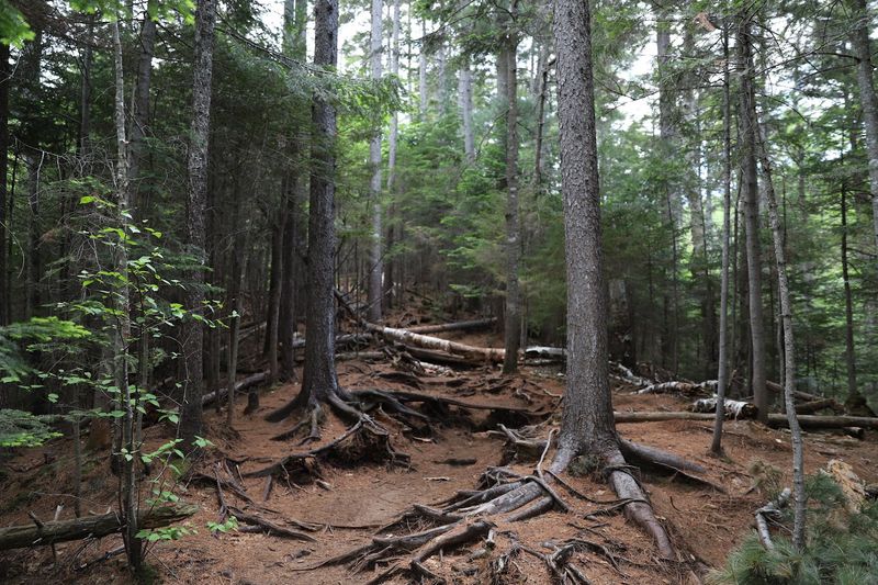 What To Pack For A Smooth And Enjoyable Hike