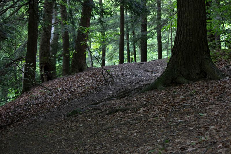 How To Navigate When Trail Markers Are Sparse