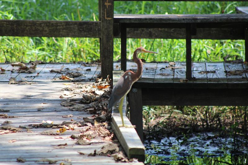 Why Akers Stays With You Long After You Leave