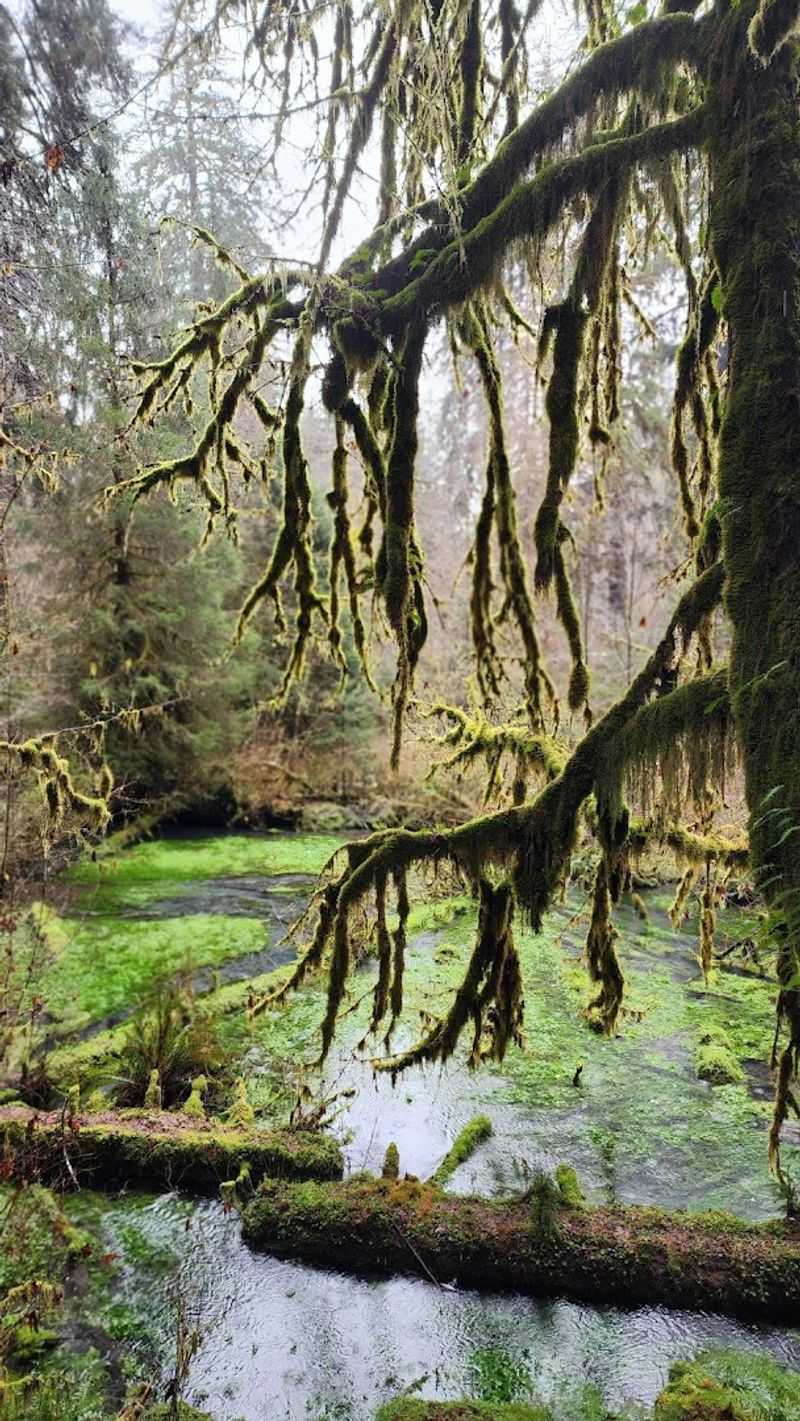 Getting There And Practical Tips