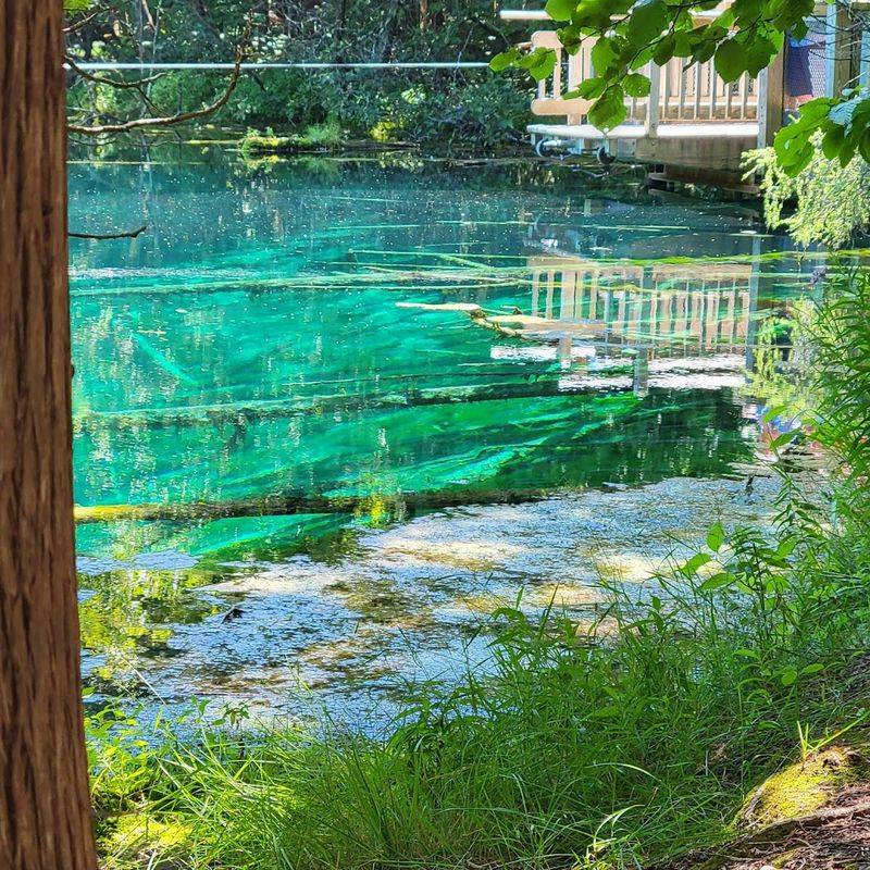 The History Behind The Name