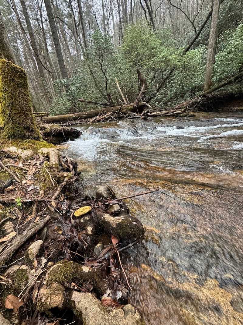 What To Pack For A Smooth Visit