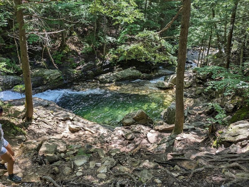 Wildlife You Might Spot Along The Way