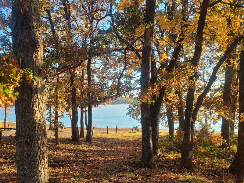 Hiking Trails Worth Every Step