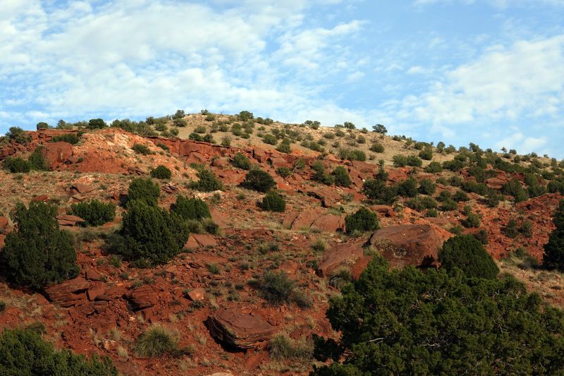What The Landscape Tells You Before You Even Stop The Car