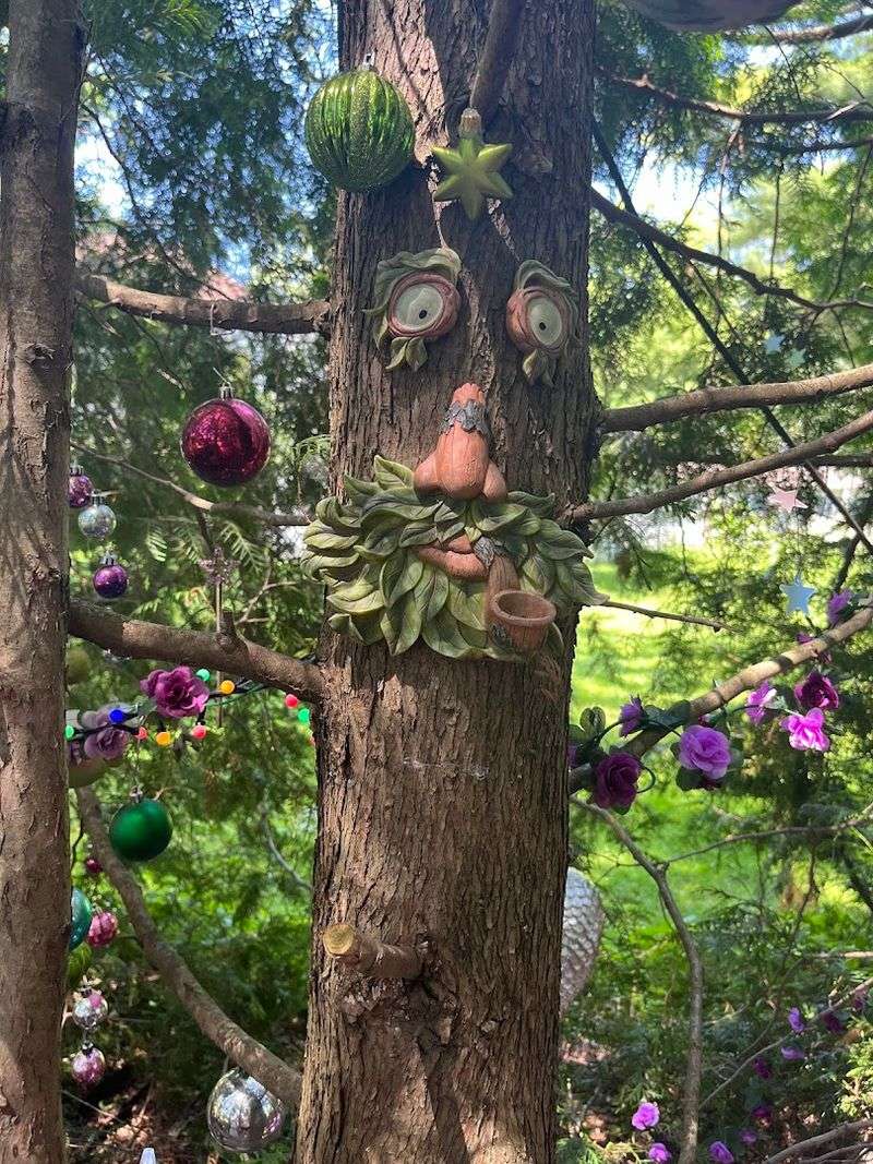 The Best Time To Visit For That Perfect Experience