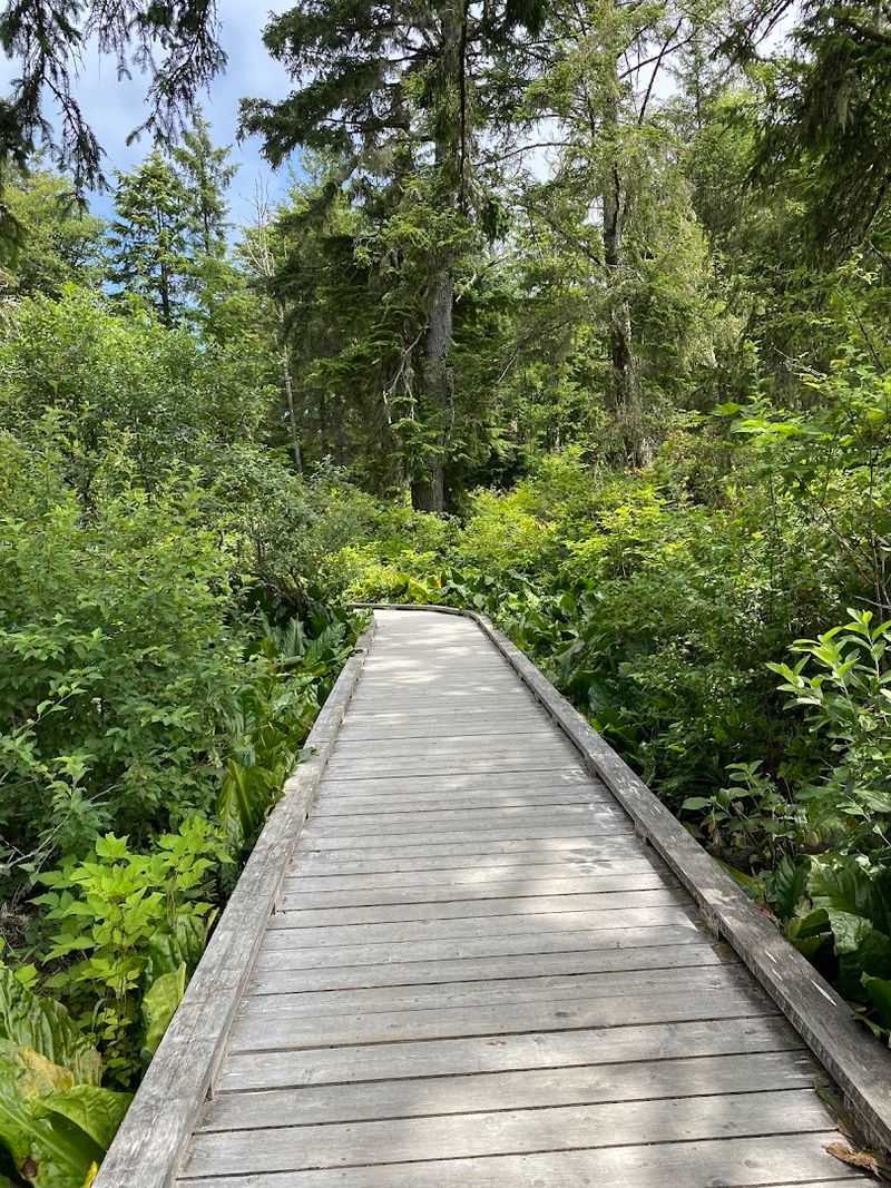 Wildlife Worth Slowing Down For