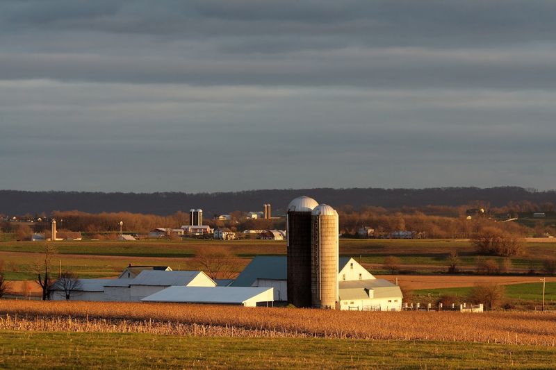 Fresh Baked Goods That Smell Like A Saturday Morning