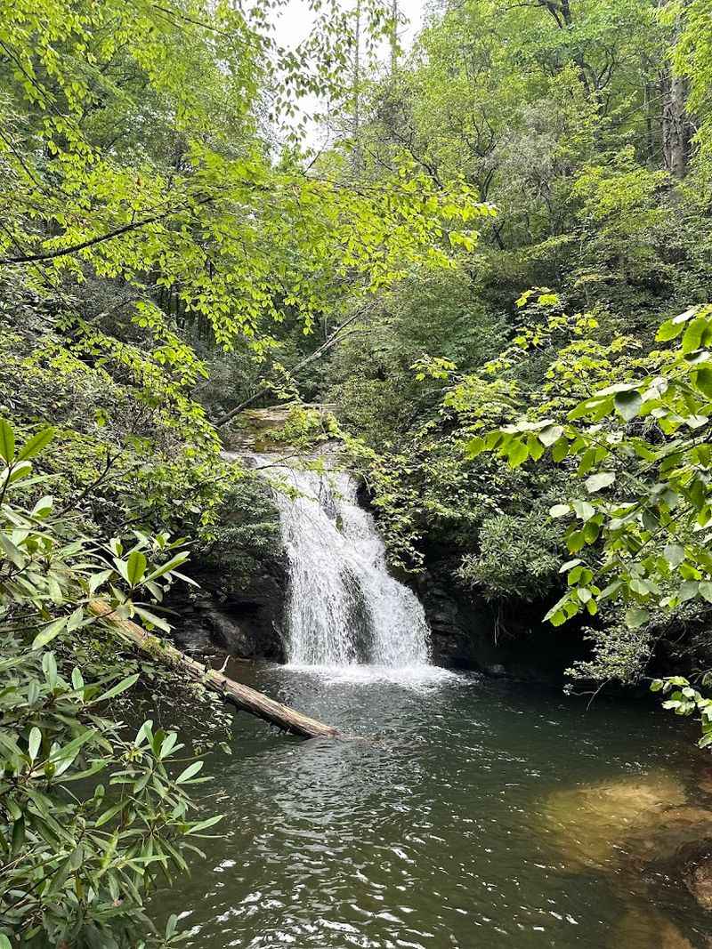 Best Times To Visit Blue Hole Falls Trail