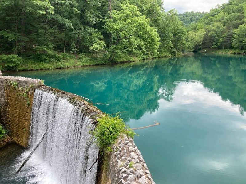 Photography Tips For Capturing The Magic