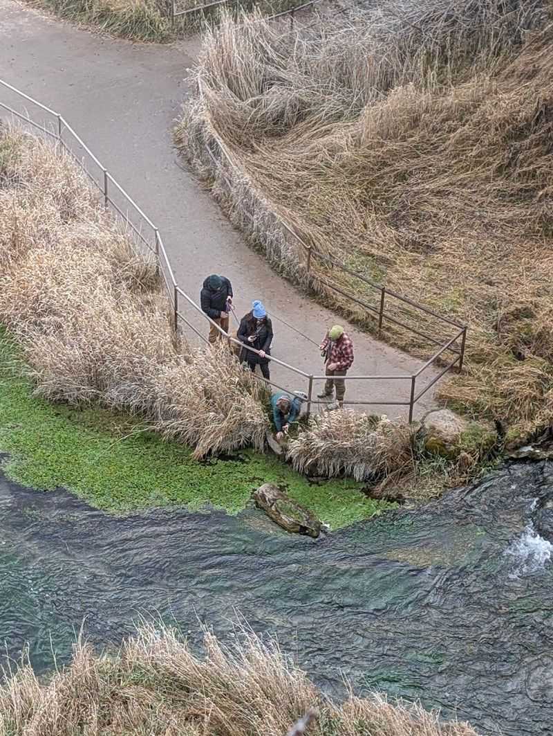 Fishing In Clear Mountain Waters