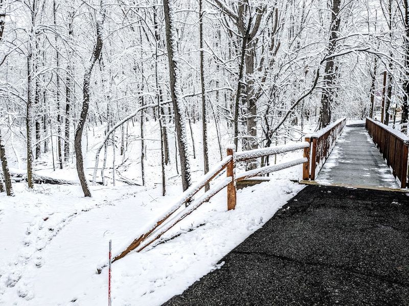 Four Seasons, Four Completely Different Parks