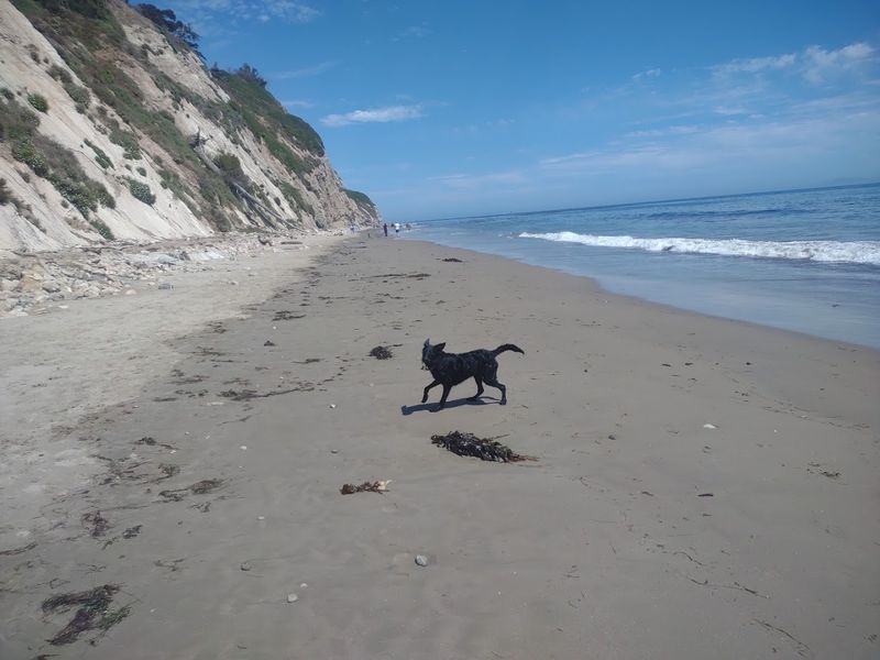 Arroyo Burro Beach