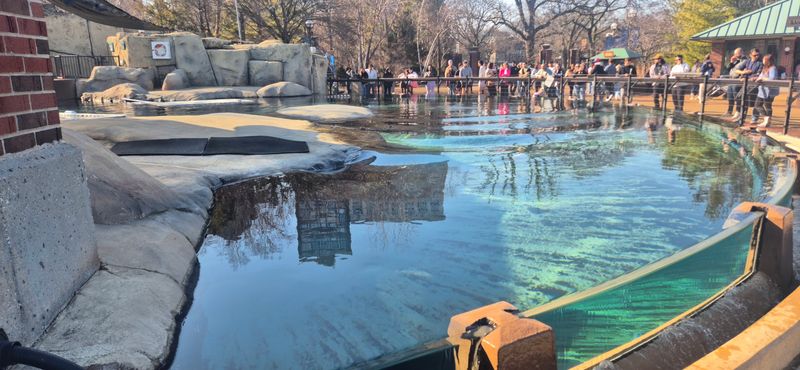 Why Lincoln Park Zoo Belongs On Every Chicago Itinerary