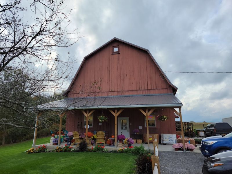 Countryside Produce And Bulk Foods