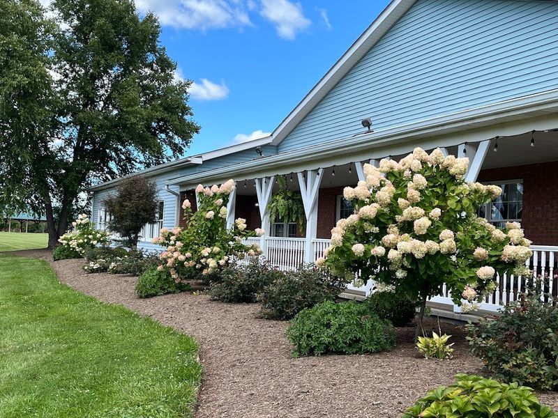 Mary Yoder's Amish Kitchen